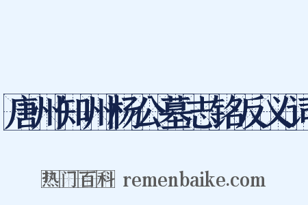 唐州知州杨公墓志铭反义词是什么意思的图片